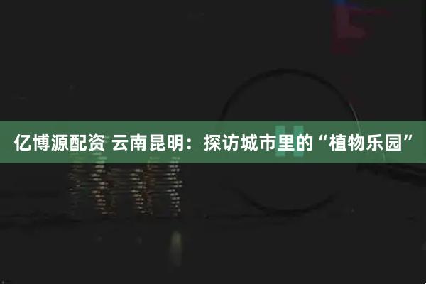 亿博源配资 云南昆明：探访城市里的“植物乐园”