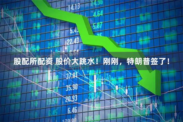 股配所配资 股价大跳水！刚刚，特朗普签了！