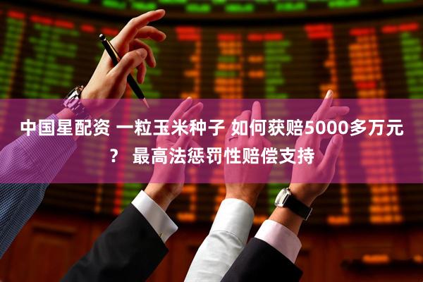 中国星配资 一粒玉米种子 如何获赔5000多万元？ 最高法惩罚性赔偿支持