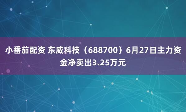 小番茄配资 东威科技（688700）6月27日主力资金净卖出3.25万元